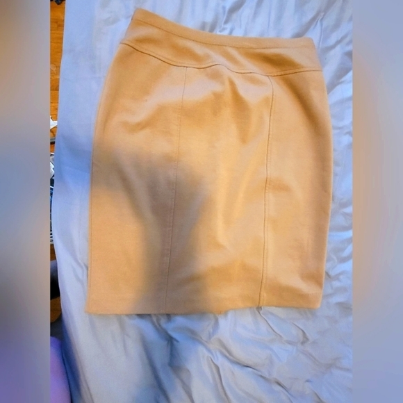 Ellen Tracy Dresses & Skirts - Ellen Tracy Pencil Skirt (Ss)
